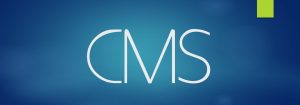 Entwicklung eines Online-CMS System für Tanzschulen