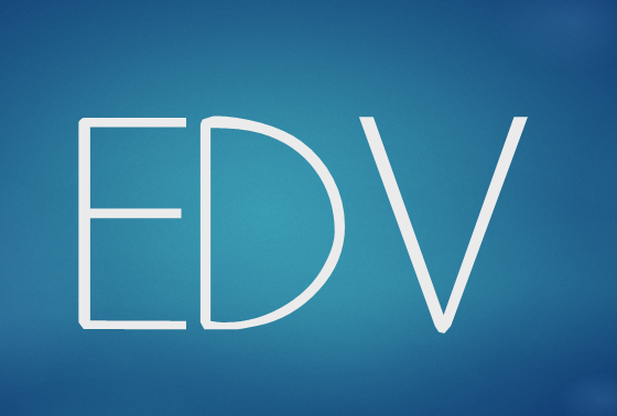 EDV-Beauftragter eines mittelständischen Unternehmens
